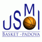 USMI_Logo 1